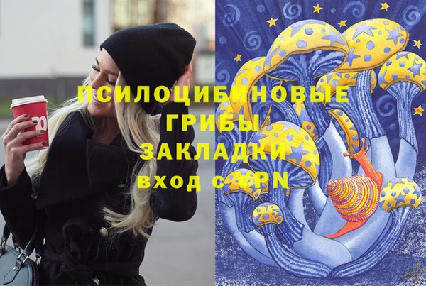 ECSTASY Михайловск