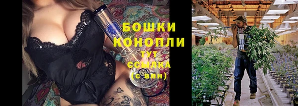 гидра Михайлов