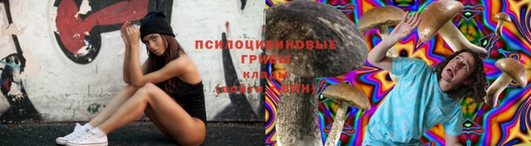 mix Медногорск