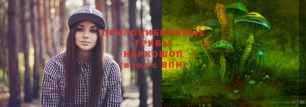 ECSTASY Михайловск